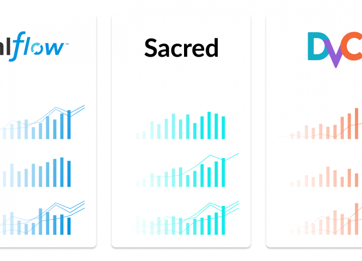 Frameworks for Machine Learning Model Management