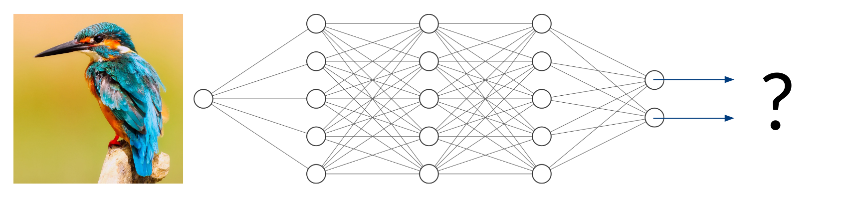 Uncertainty Quantification in Deep Learning - inovex GmbH