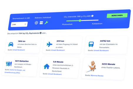 Screenshot eines CO2-Rechners, der den Stromverbrauch in kWh anzeigt. Der Rechner gibt an, dass der CO2-Intensitätswert 596 g CO₂/kWh beträgt. Es werden verschiedene Umweltauswirkungen angezeigt, darunter die Äquivalente in Kilometern für Reisen mit dem Auto und Flugzeug sowie Maßnahmen zur Reduzierung des CO2-Ausstoßes.