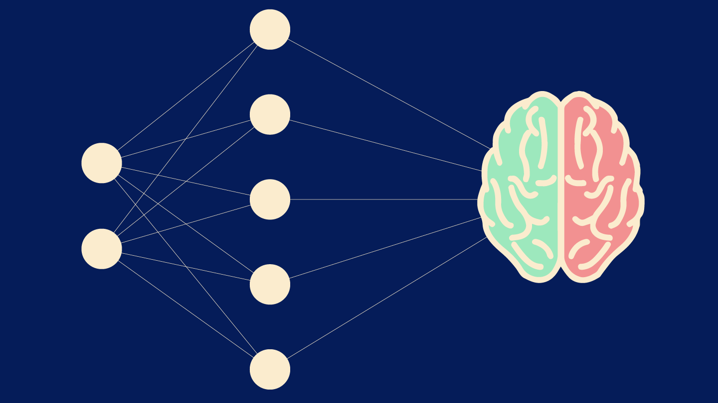 Ein neuronales Netz führt zu einem Gehirn