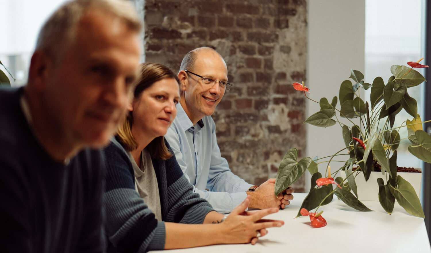 Drei Personen sitzen lächelnd an einem Tisch mit einer Pflanze mit roten Blüten
